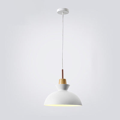 Scandinavische Hanglamp | Design in Metaal | 1-Lichts | Moderne Kleuropties
