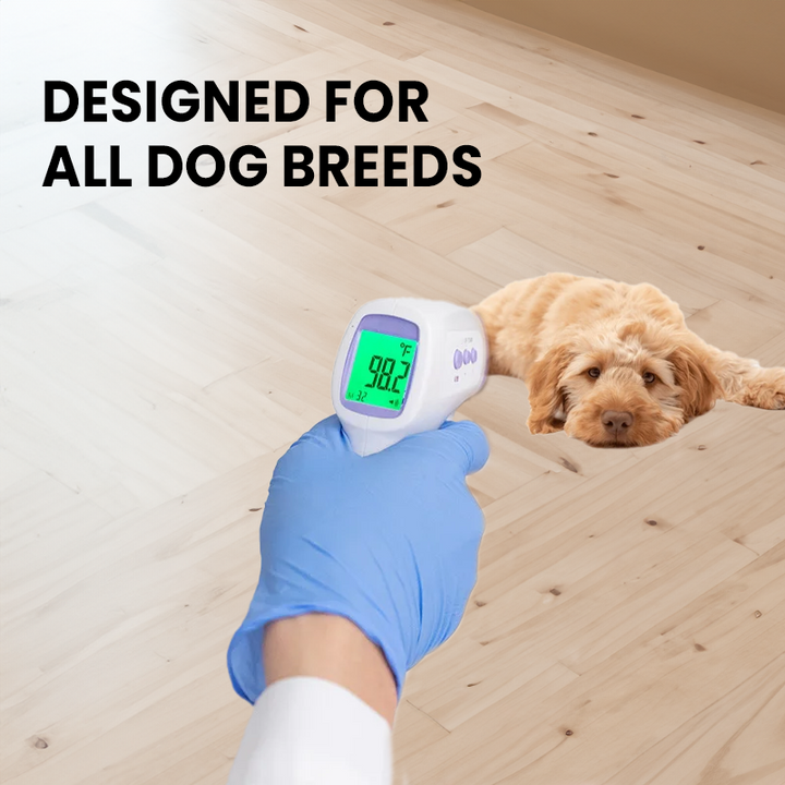 Contactloze Hondenthermometer met Meting per Klik