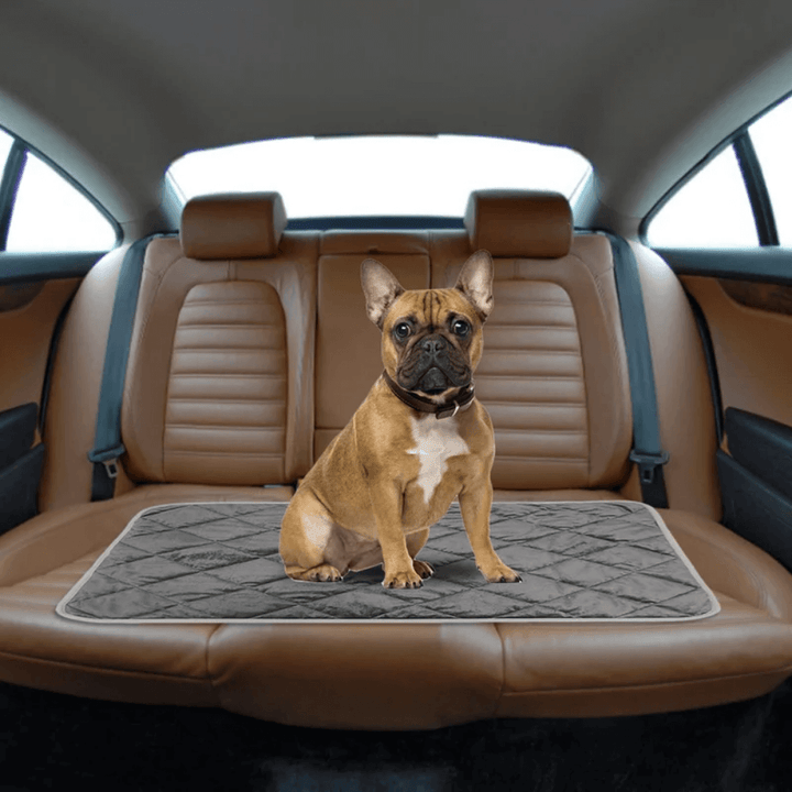 Zelfverwarmend ligkussen voor hond en kat met antislip onderkant