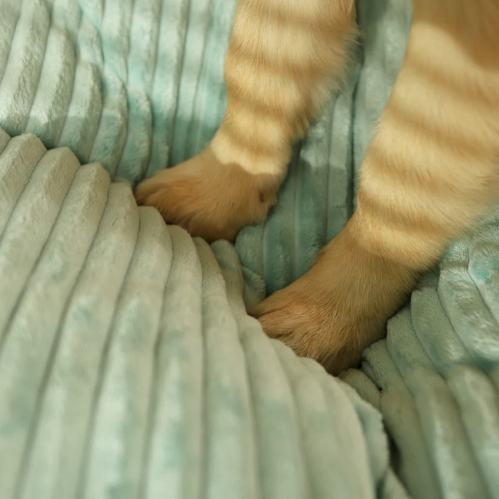 Orthopedisch Hondenkussen met Afneembare Hoes - SnuggleRest