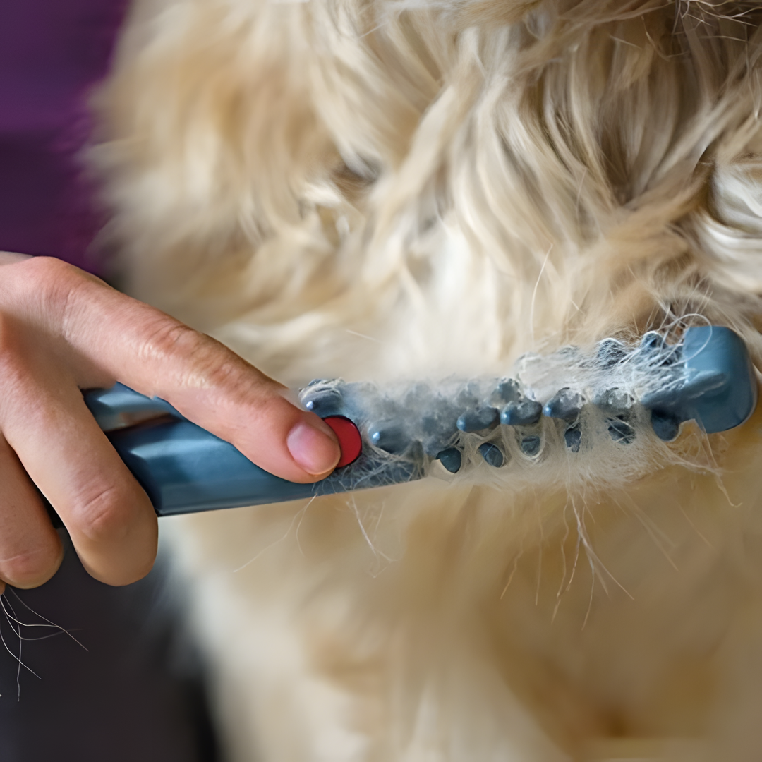 Fellona Klittenvrije Vachtborstel voor Huisdieren | Pijnloze Vachtverzorging voor Honden en Katten | Geschikt voor Alle Vachttypes