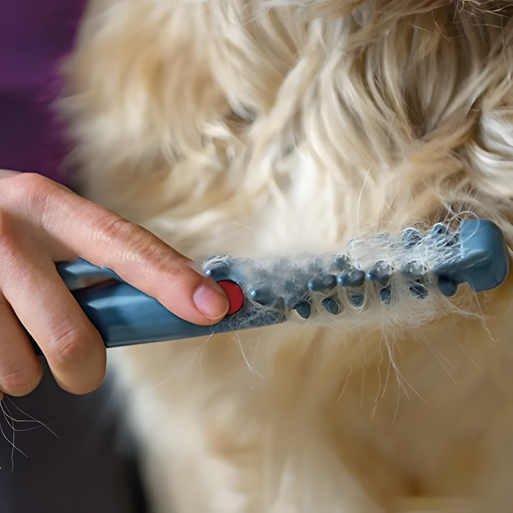 Fellona Klittenvrije Vachtborstel voor Huisdieren | Pijnloze Vachtverzorging voor Honden en Katten | Geschikt voor Alle Vachttypes