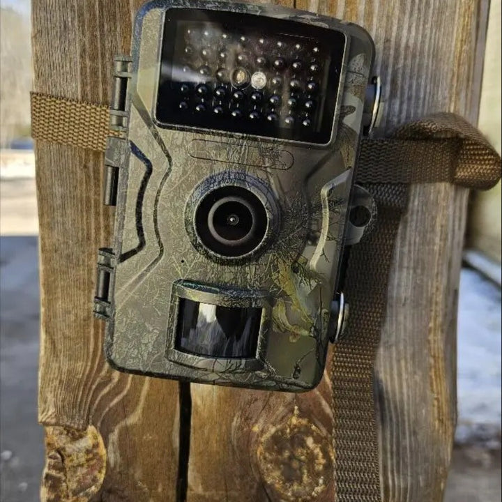 Nachtzichtcamera voor wilde dieren