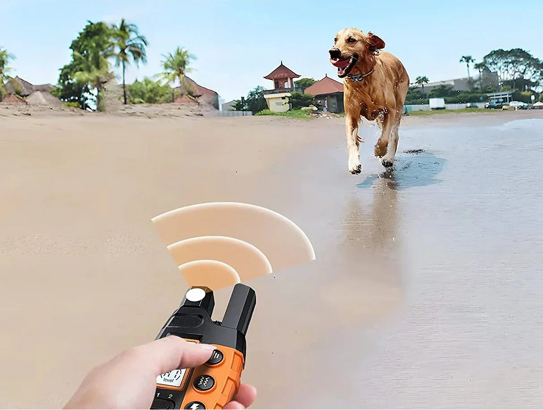 NovaPace Trainingshalsband voor Honden met 1000m Bereik, Waterdicht