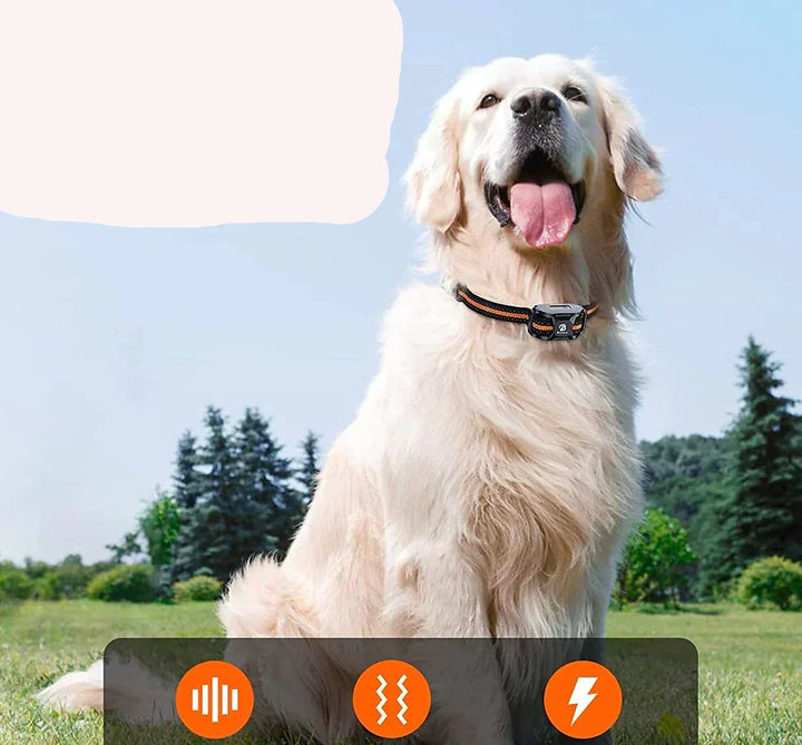 NovaPace Trainingshalsband voor Honden met 1000m Bereik, Waterdicht