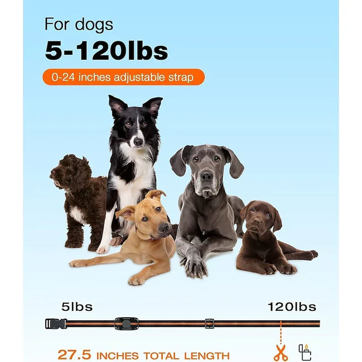 NovaPace Trainingshalsband voor Honden met 1000m Bereik, Waterdicht