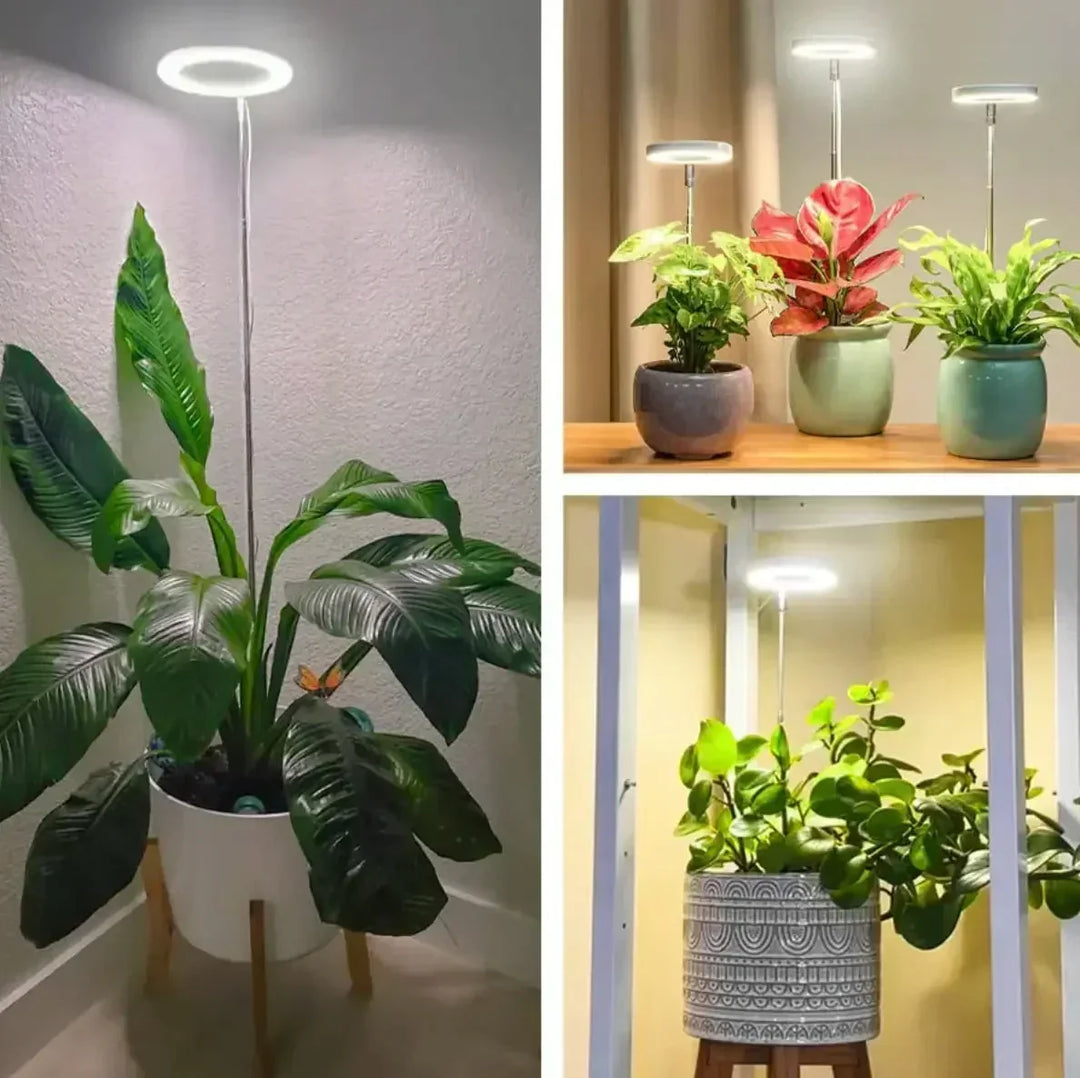 Led-kweeklamp met volledig spectrum, timer en dimfunctie