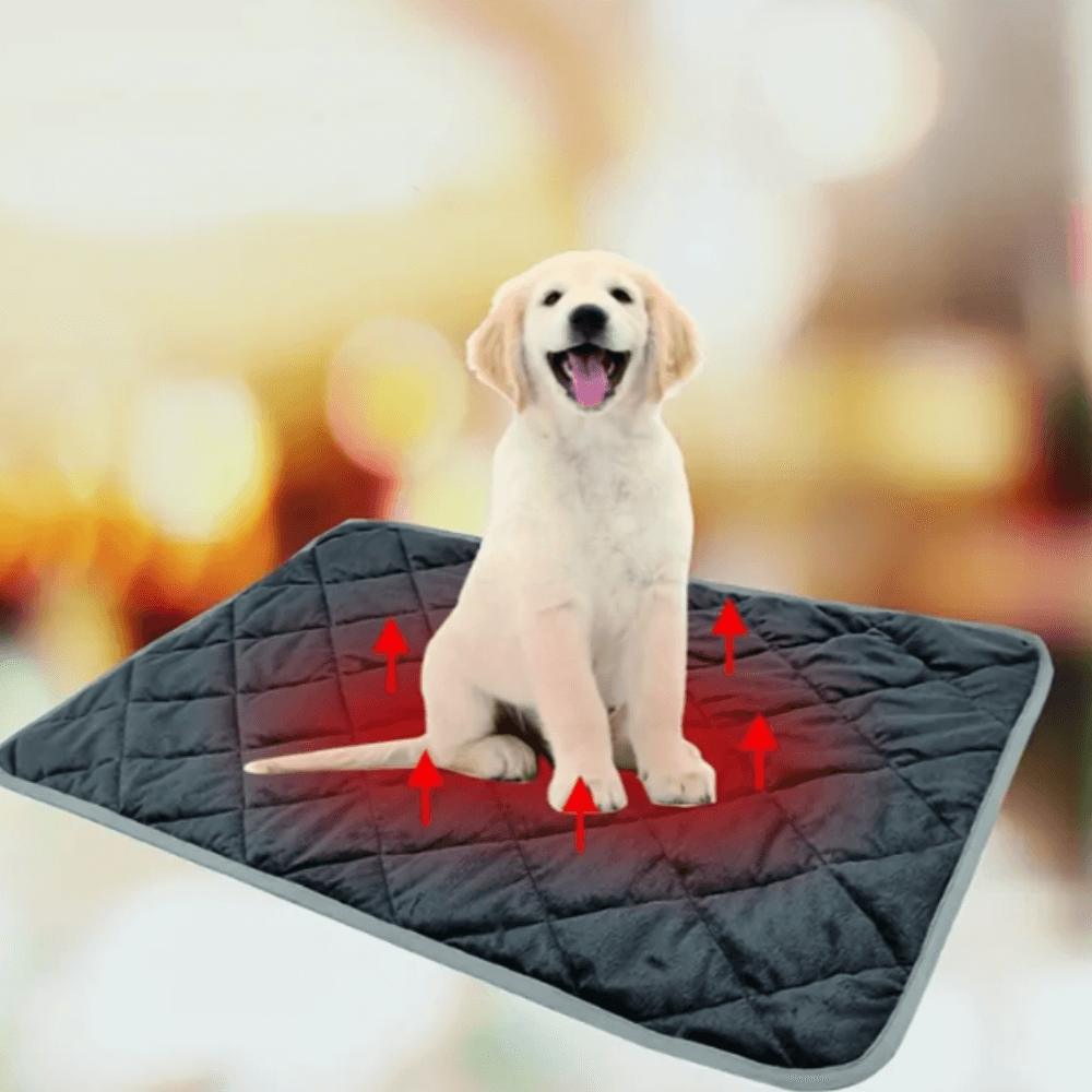 Zelfverwarmend ligkussen voor hond en kat met antislip onderkant