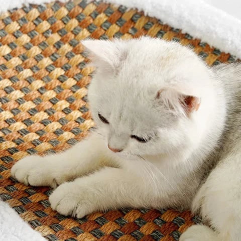 Krabmeubel-bed voor katten met verwarmde rand, zelfverwarmende sisalmat en ovaal ontwerp van sherpafleece