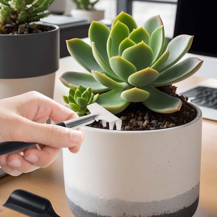 Tuingereedschapsset met miniatuurpincetten en trekkoordzakje voor vetplanten en gazonrandsnijder