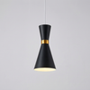 1-Lichts Pendellamp voor Sfeervolle Verlichting