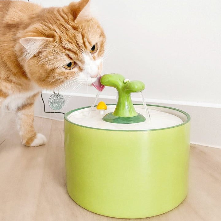 Drinkfontein voor Katten – SpringFlow