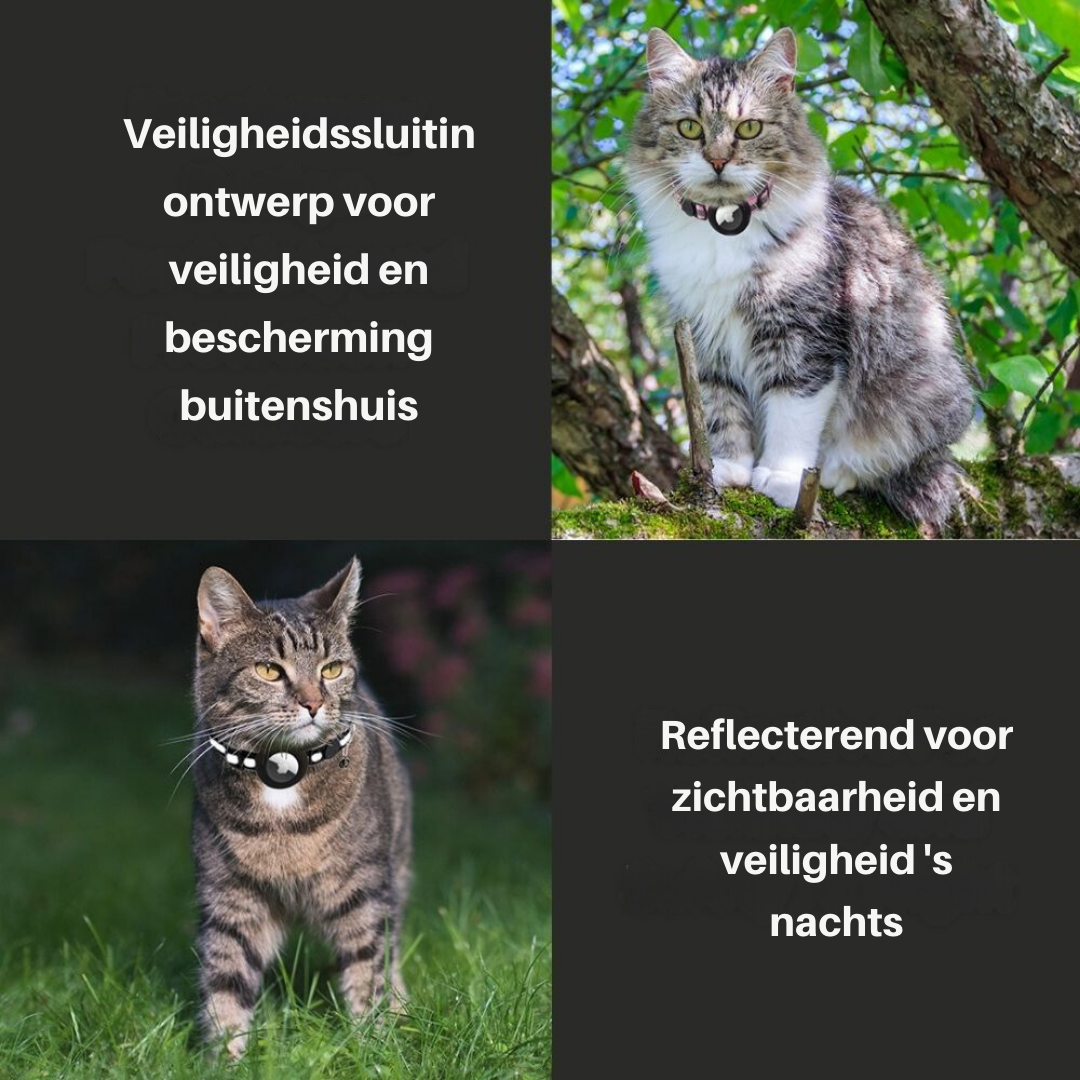 Kattenhalsband met Veiligheidssluiting - Milo