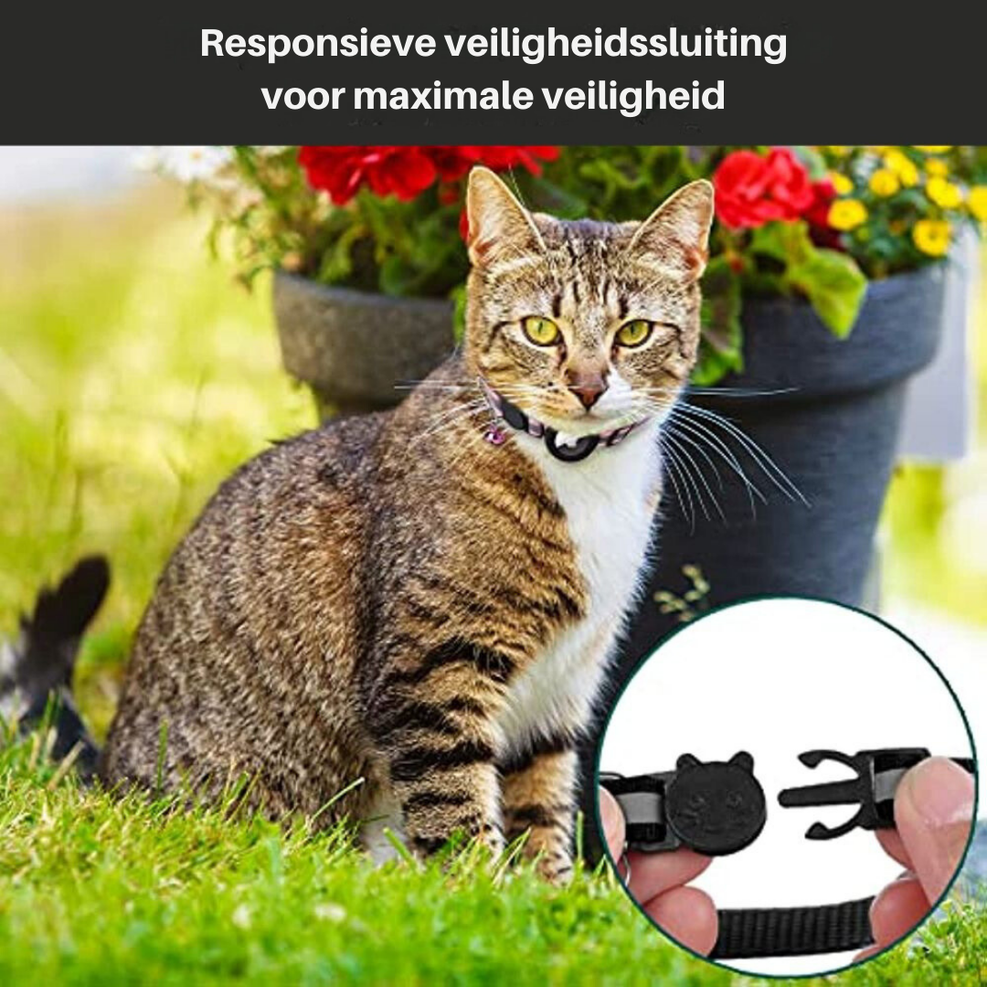 Kattenhalsband met Veiligheidssluiting - Milo