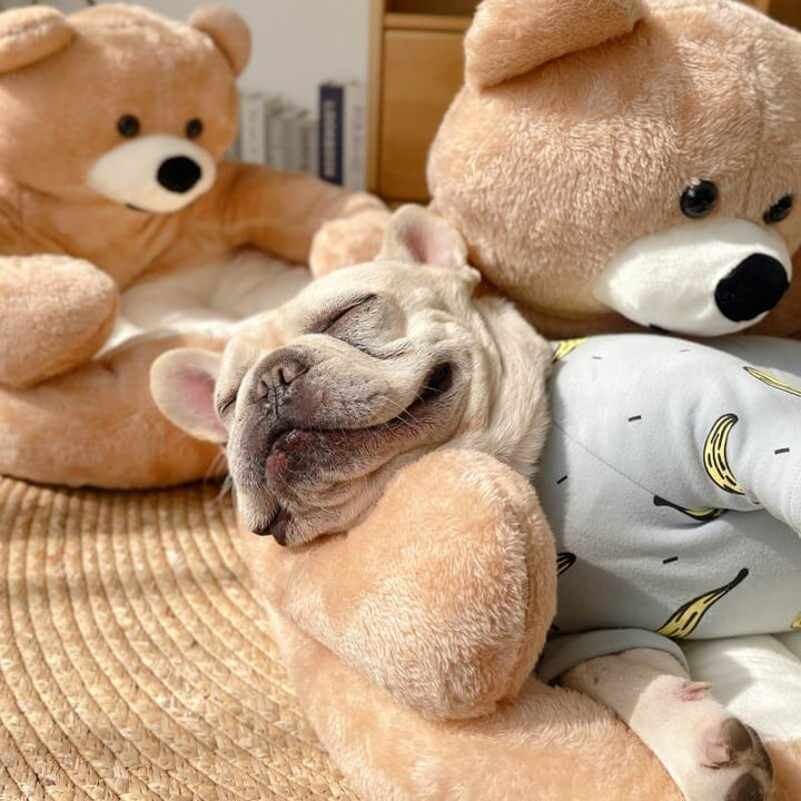 Verstelbare Knuffelbeer – SnuggleBear