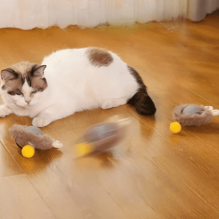 ChaseBall interactief jachtspeelgoed voor honden en katten - LED, USB