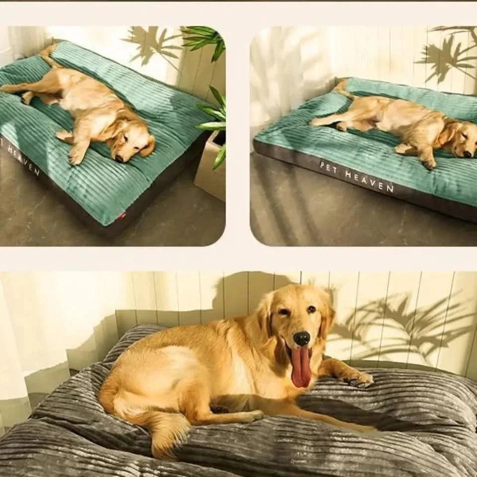 FlauschNest ergonomische hondenmand - zacht en ondersteunend
